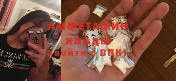 амф Пестово
