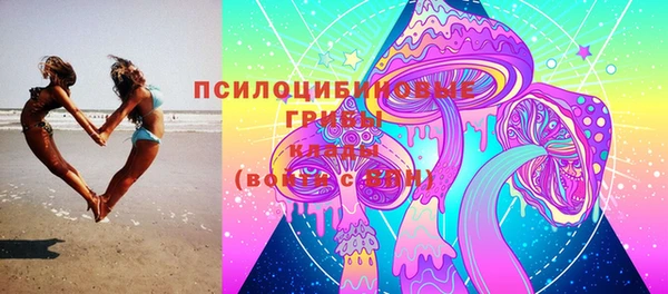соль ск Пересвет