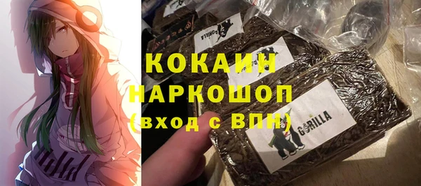 амф Пестово
