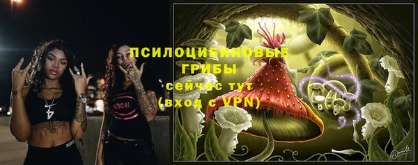 марки lsd Абаза
