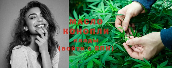соль ск Пересвет