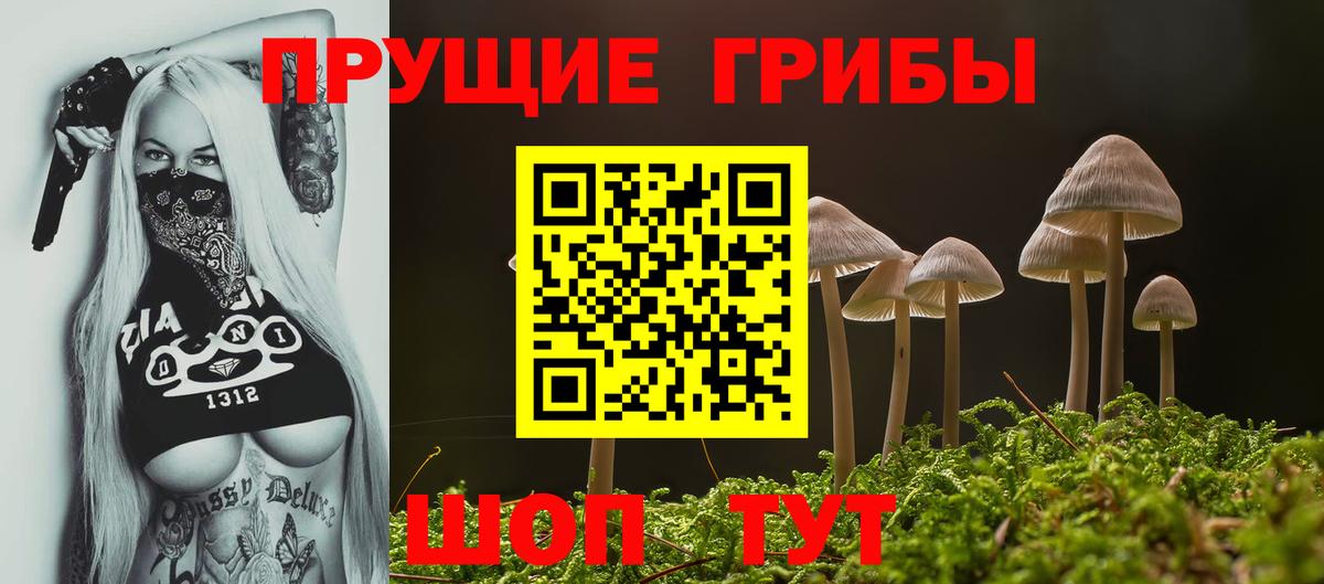 Псилоцибиновые грибы MAGIC MUSHROOMS Алапаевск